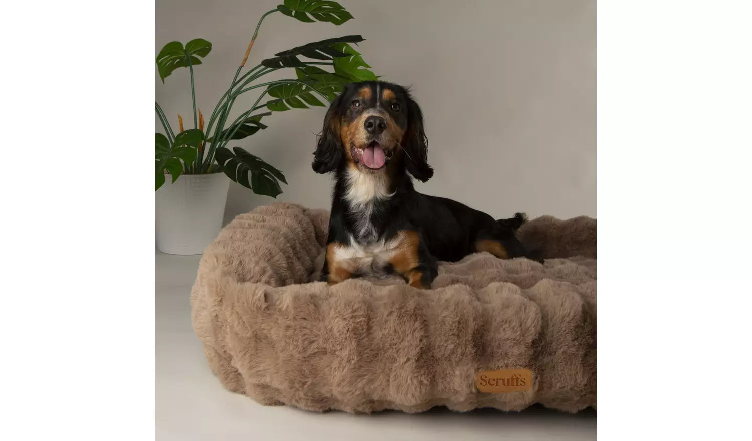 Alpine Taupe Dog Bed - Large