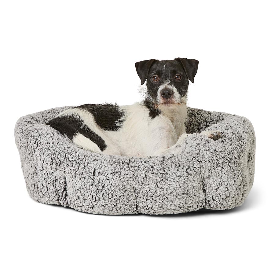 Explorer Scalloped Dog Bed Grey